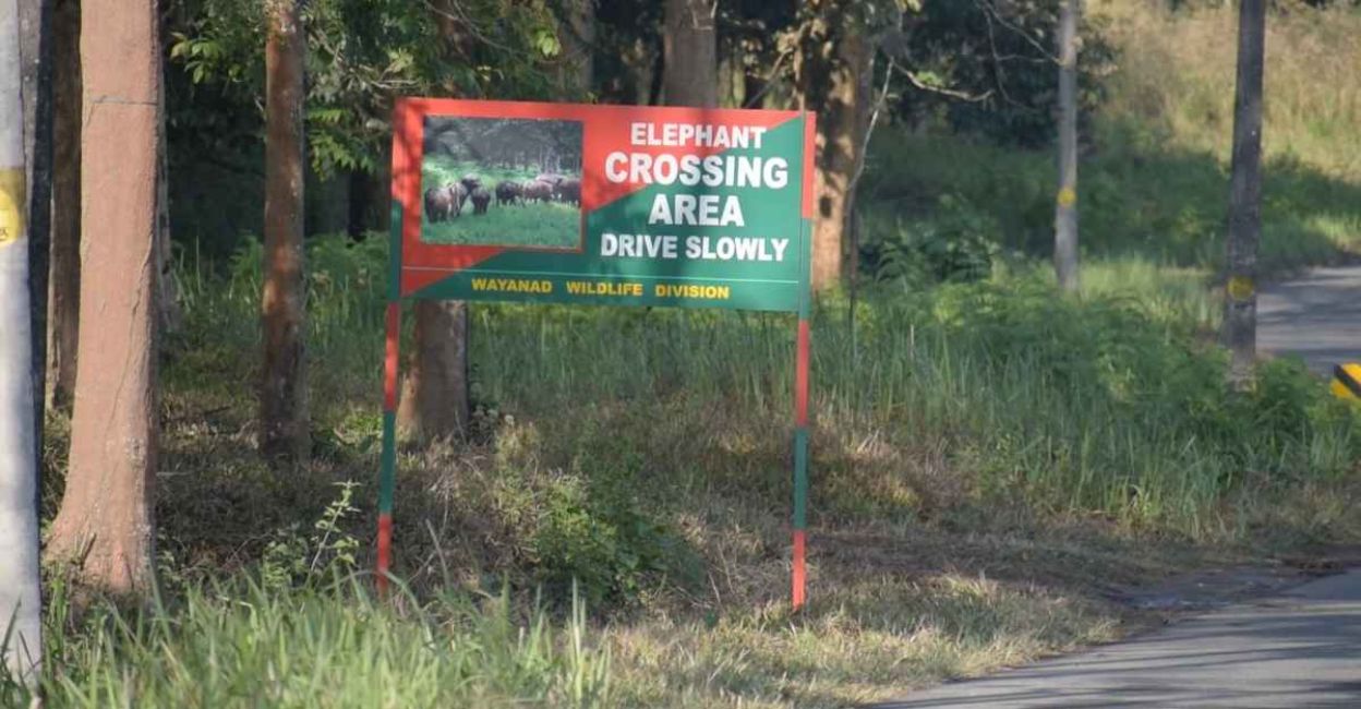 Wayanad sanctuary Wayanad sanctuary